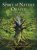 The Celtic Tarot